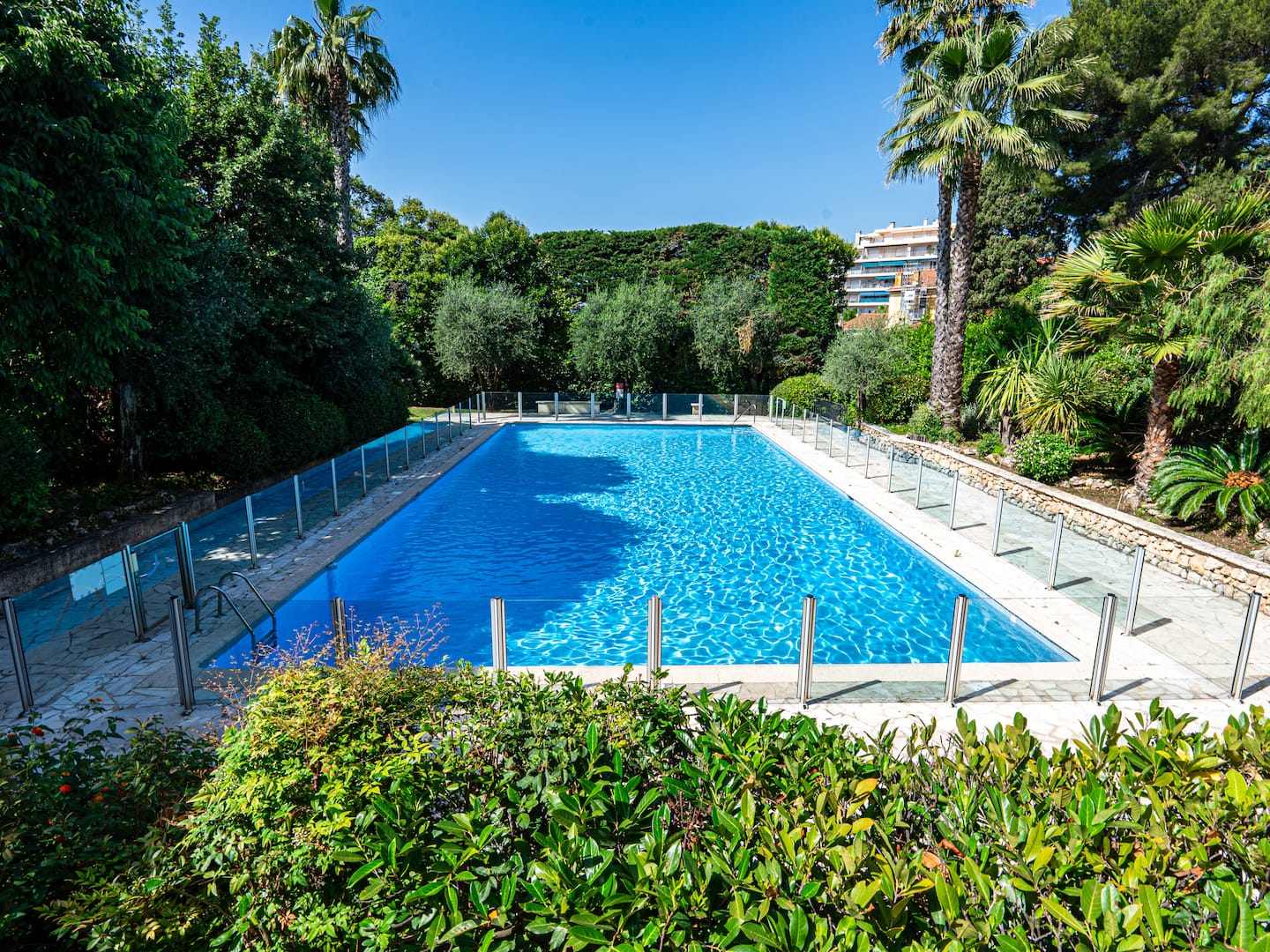 Shared swimming pool in the landscaped residence garden